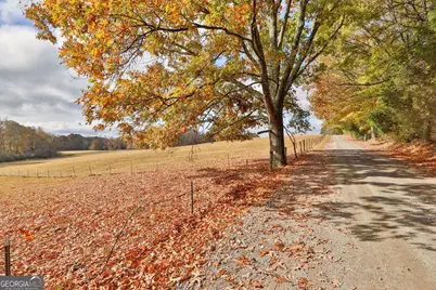 Lot 7 Mask Road - Hanner's Farm South, Brooks, GA 30205 - Photo 13