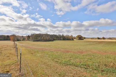 Lot 7 Mask Road - Hanner's Farm South, Brooks, GA 30205 - Photo 19