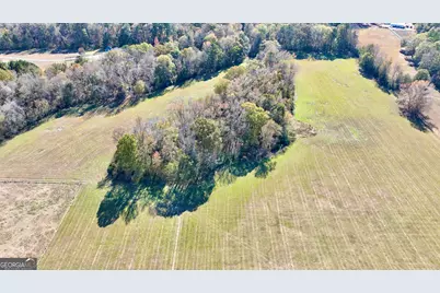 Lot 8 Mask Road - Hanner's Farm South, Brooks, GA 30205 - Photo 7