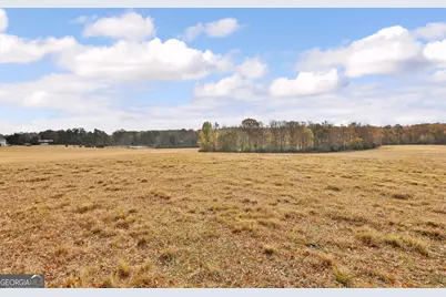 Lot 8 Mask Road - Hanner's Farm South, Brooks, GA 30205 - Photo 13