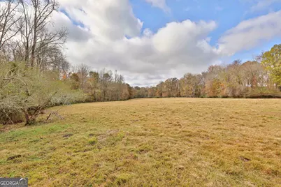 Lot 8 Mask Road - Hanner's Farm South, Brooks, GA 30205 - Photo 11