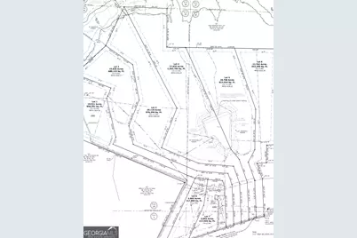 Lot 4 Mask Road - Hanner's Farm North, Brooks, GA 30205 - Photo 5