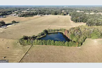 Lot 4 Mask Road - Hanner's Farm North, Brooks, GA 30205 - Photo 17