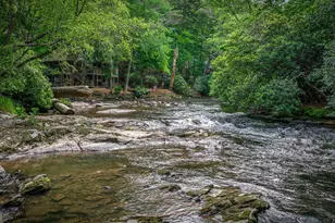 329 Blackberry Falls Ln, Ellijay, GA 30536 - Photo 33