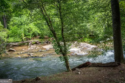 329 Blackberry Falls Lane, Ellijay, GA 30536 - Photo 61