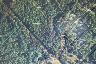 0 Dogwood Ln, Mcrae, GA 31055 - Photo 1