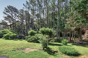 135 Sheldon Way, Fayetteville, GA 30215 - Photo 51