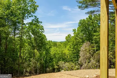 Lot 7 Briar Creek Court, Morganton, GA 30560 - Photo 9