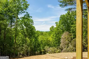 Lot 7 Briar Creek Ct, Morganton, GA 30560 - Photo 9