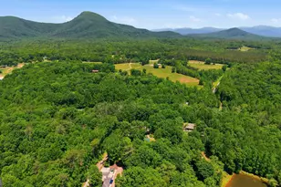 313 Pratten Dr, Cleveland, GA 30528 - Photo 29