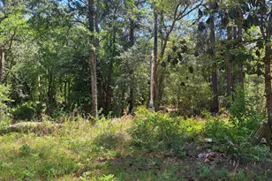 608 Bass Rd, Reidsville, GA 30453 - Photo 1