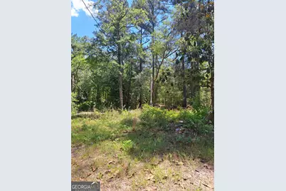 608 Bass Road, Reidsville, GA 30453 - Photo 3
