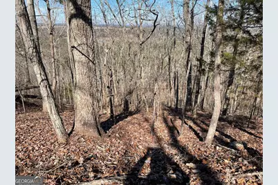 0A Johnson Lake Road #0A, Cedartown, GA 30125 - Photo 7