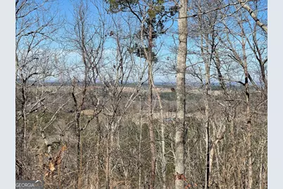 0A Johnson Lake Road #0A, Cedartown, GA 30125 - Photo 3