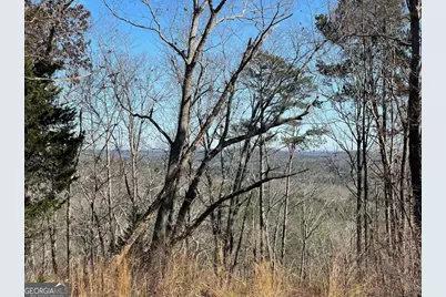 0A Johnson Lake Road #0A, Cedartown, GA 30125 - Photo 5