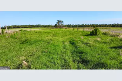 94.20 Acres At Georgia Circle #(TRACTS 1,4 &amp; 5), Hazlehurst, GA 31539 - Photo 9