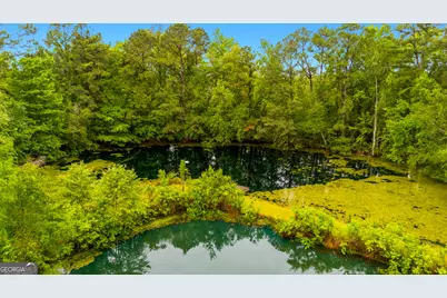 4221 Ga Highway 119 N, Clyo, GA 31303 - Photo 5