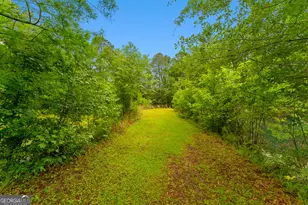 4221 Ga Hwy 119 N, Clyo, GA 31303 - Photo 45