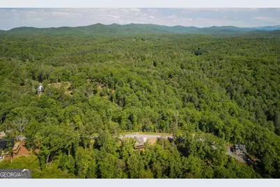 196 N Jakes Landing Way, Ellijay, GA 30540 - Photo 45