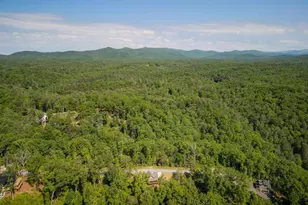 196 N Jakes Landing Way, Ellijay, GA 30540 - Photo 45
