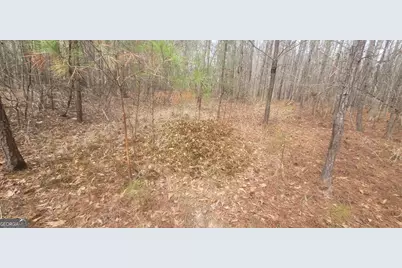 306 Patterson Road, Griffin, GA 30223 - Photo 5