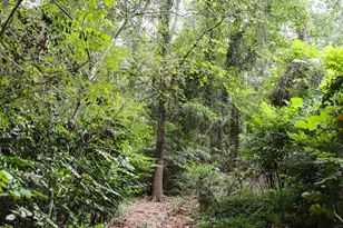 240 Beech Creek Rd, Athens, GA 30606 - Photo 49