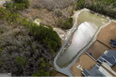7290 Mill Ridge Drive, Hahira, GA 31632 - Photo 57