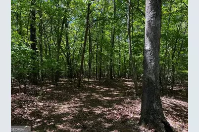 1190 Maple Grove Road, Morganton, GA 30560 - Photo 89