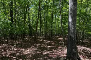 1190 Maple Grove Rd, Morganton, GA 30560 - Photo 89