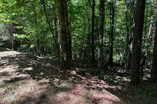 1190 Maple Grove Rd, Morganton, GA 30560 - Photo 95
