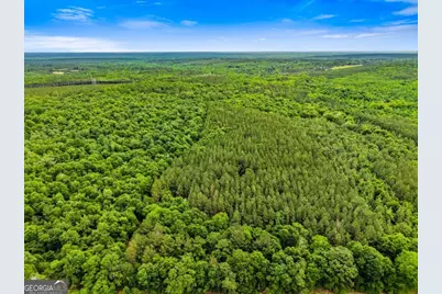 0 River Road, Waynesboro, GA 30830 - Photo 5