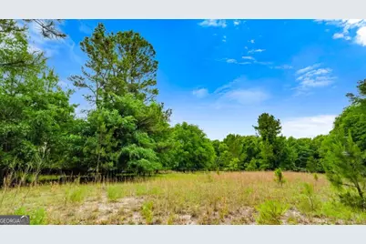 0 River Road, Waynesboro, GA 30830 - Photo 17