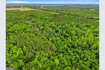 0 River Road, Waynesboro, GA 30830 - Photo 7