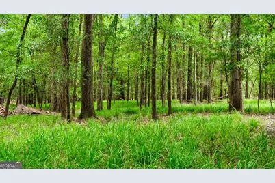 0 River Road, Waynesboro, GA 30830 - Photo 23