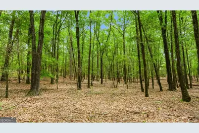 0 River Road, Waynesboro, GA 30830 - Photo 13