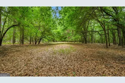 0 River Road, Waynesboro, GA 30830 - Photo 21