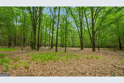 0 River Road, Waynesboro, GA 30830 - Photo 19