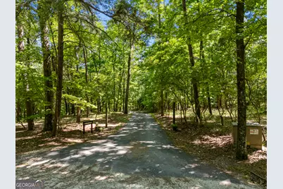 258 Neals Brow Road, Menlo, GA 30731 - Photo 59
