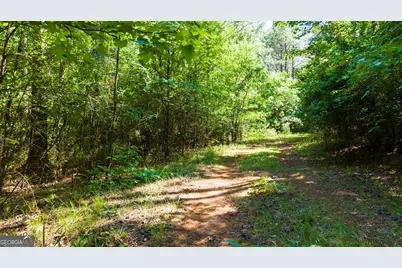 0 Calhoun Falls Hwy, Elberton, GA 30635 - Photo 13