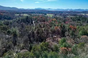 518 Rizzitello Ln, Blairsville, GA 30512 - Photo 43