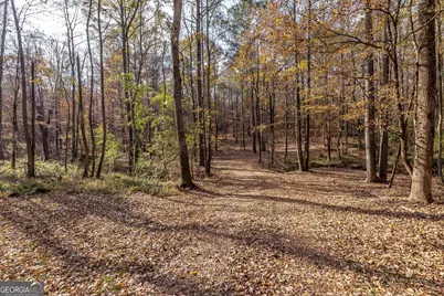 0 Ga 85 Highway, Waverly Hall, GA 31831 - Photo 5