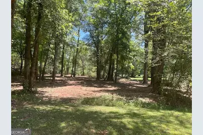 0 Sportsman Club, Hogansville, GA 30230 - Photo 5