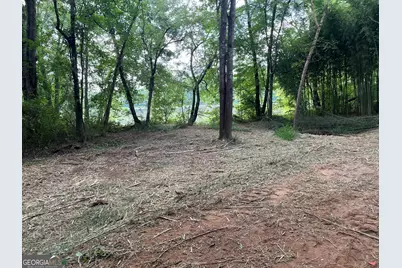 0 Sportsman Club, Hogansville, GA 30230 - Photo 9