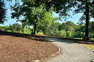 125 Channing Ln, Fayetteville, GA 30214 - Photo 75