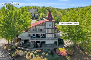 333 Rosen Strasse, Helen, GA 30545 - Photo 69
