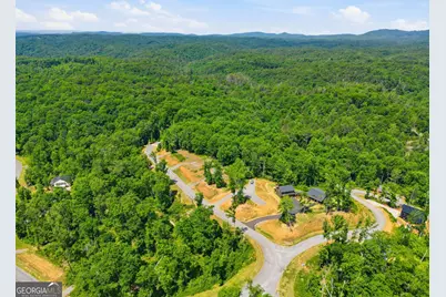 131 Jakes Landing Drive, Ellijay, GA 30540 - Photo 45