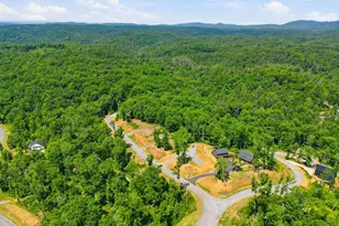 131 Jakes Landing Dr, Ellijay, GA 30540 - Photo 45
