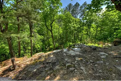 Lot 90R Mountain Creek Hollow Drive, Talking Rock, GA 30175 - Photo 9