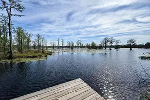 1764 Kennedy Pond Rd, Statesboro, GA 30458 - Photo 15