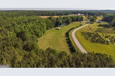 2774 Steadman Road, Tallapoosa, GA 30176 - Photo 37